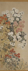 Chrysanthemums
